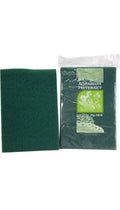 XINYOU GREEN SPONGE 40X30 XY1819