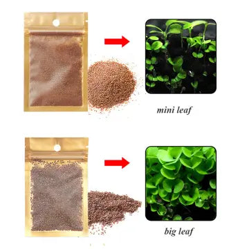 PLANT SEED PACKET