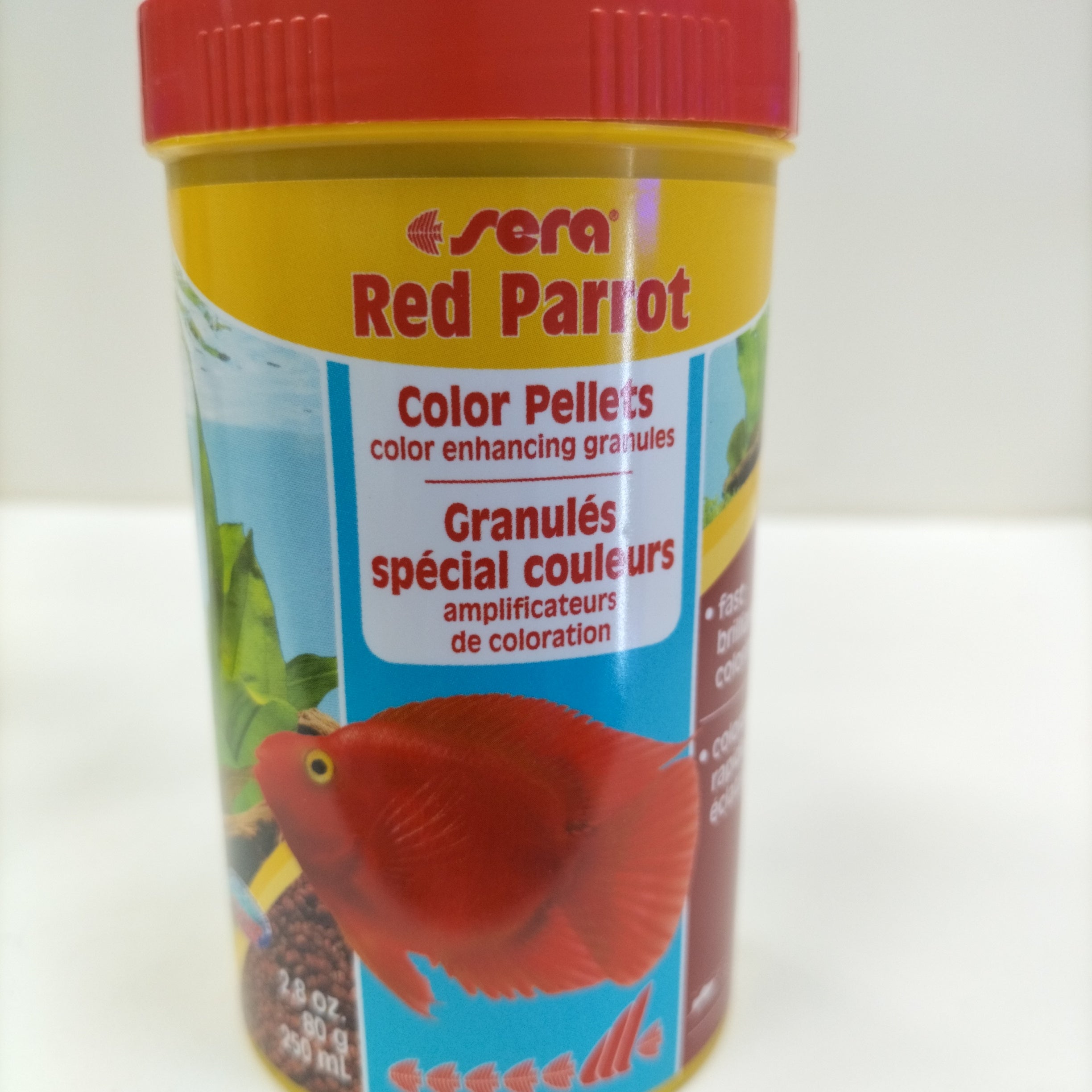 SERA RED PARROT
