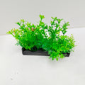 AQUARIUM DECORATION PLANT