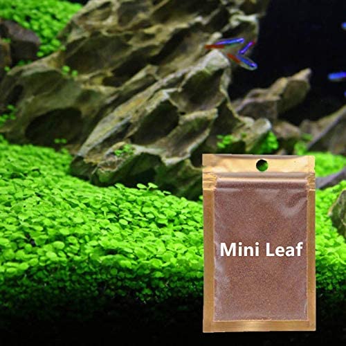 PLANT SEED PACKET