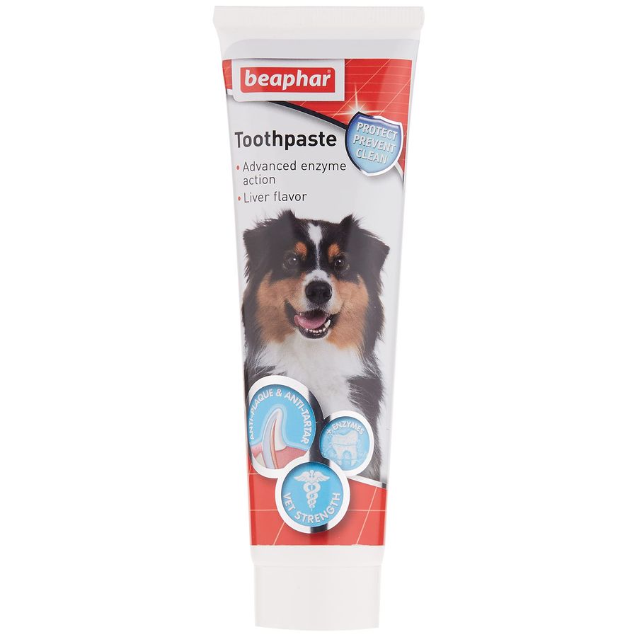 BEAPHAR TOOTHPASTE FOR DOGS 100G