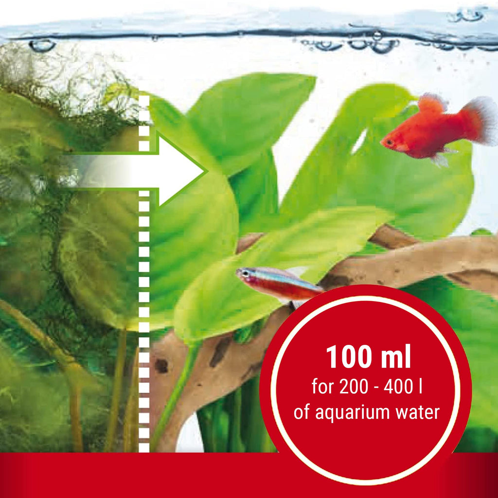 TETRA ALGUMIN 100ML