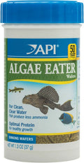 API ALGAE RATHER WAFERS CATFISH FOOD 37G