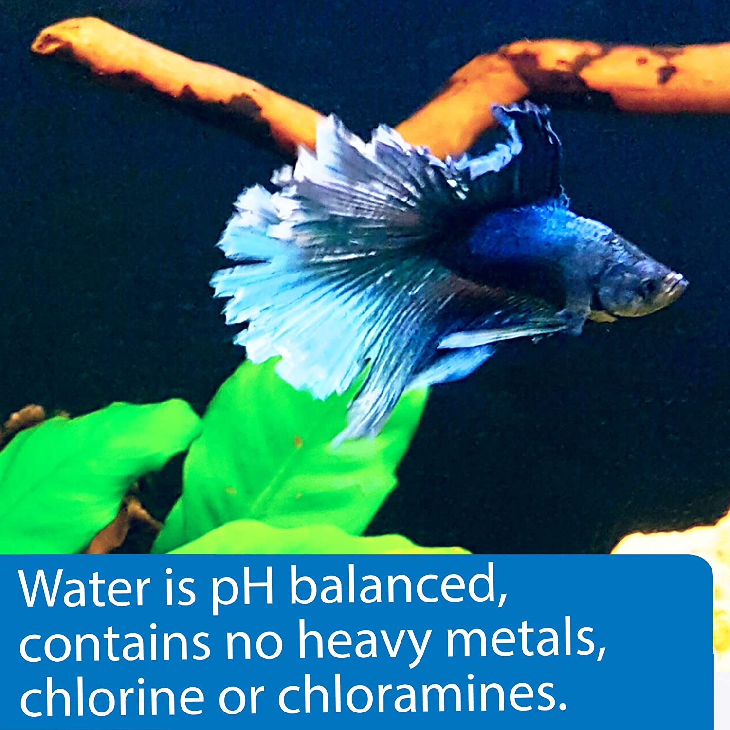 API BETTA WATER CARE 976.7ML