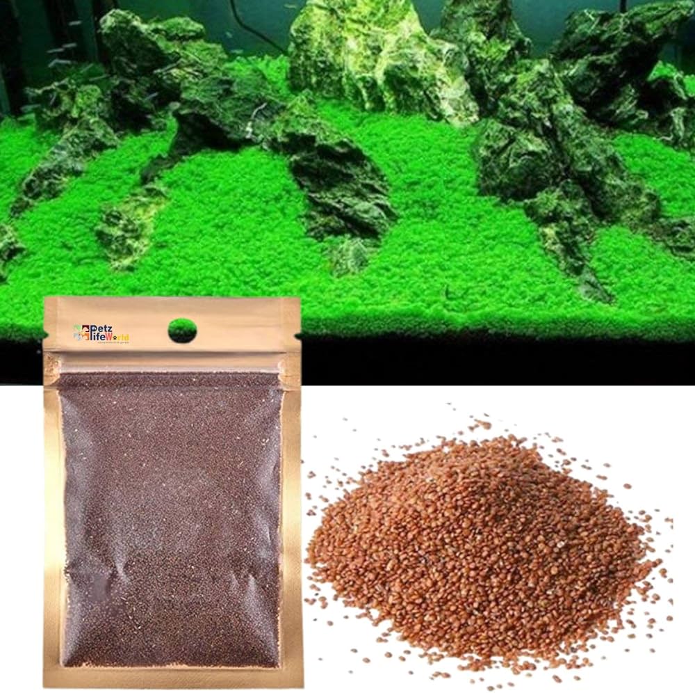 PLANT SEED PACKET