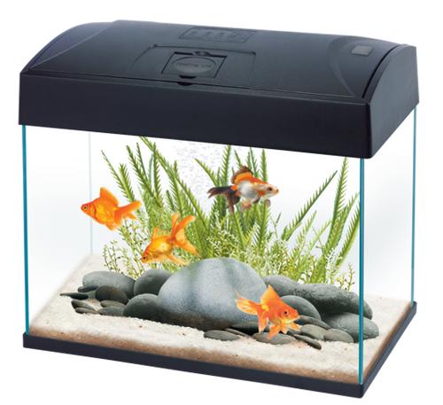 AA BASIC TANK