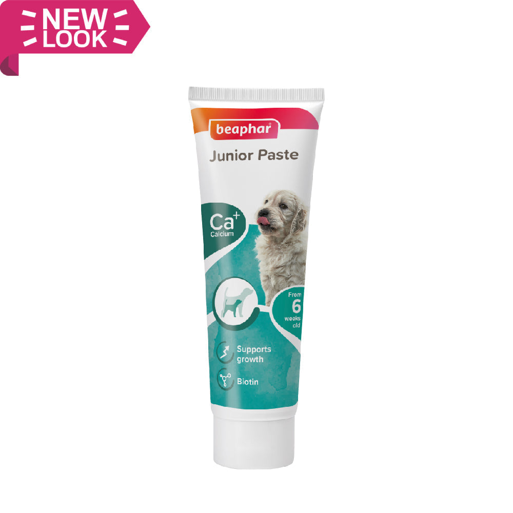 BEAPHAR JUNIOR PASTE FOR DOGS 100G