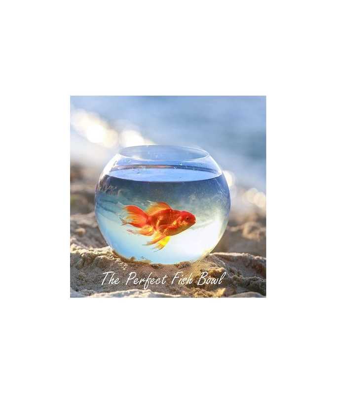 GLASS BOWL