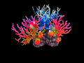 AQUARIUM DECORATION
