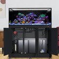 100 Gallon INT Complete Reef Aquarium - Innovative Marine