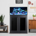 60 Gallon Fusion Pro 2 AIO Aquarium - Innovative Marine