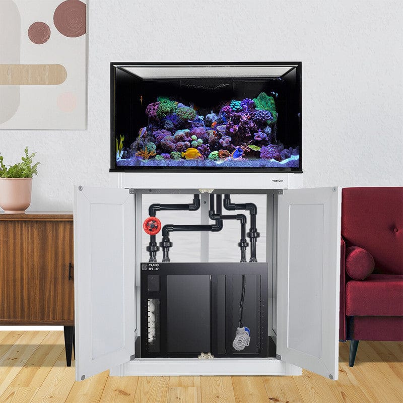 75 Gallon INT Complete Reef Aquarium - Innovative Marine