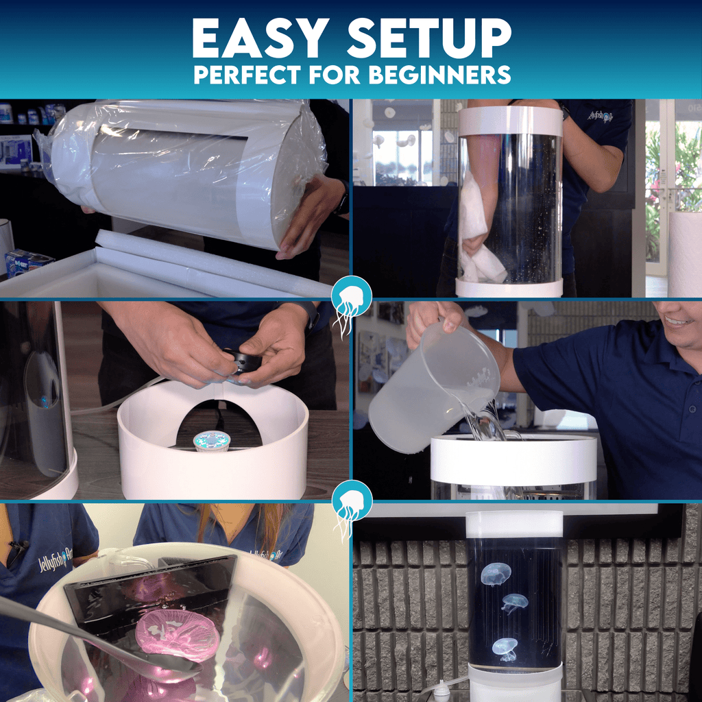 Jelly Cylinder 5 (Black) - 5 Gallon Saltwater Tank (Aquarium only)