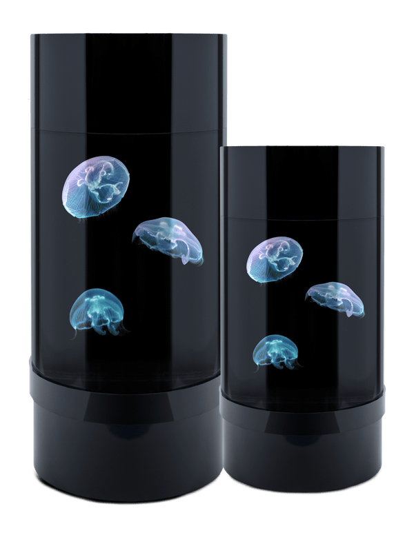 Jelly Cylinder 5 (Black) - 5 Gallon Saltwater Tank (Aquarium only)