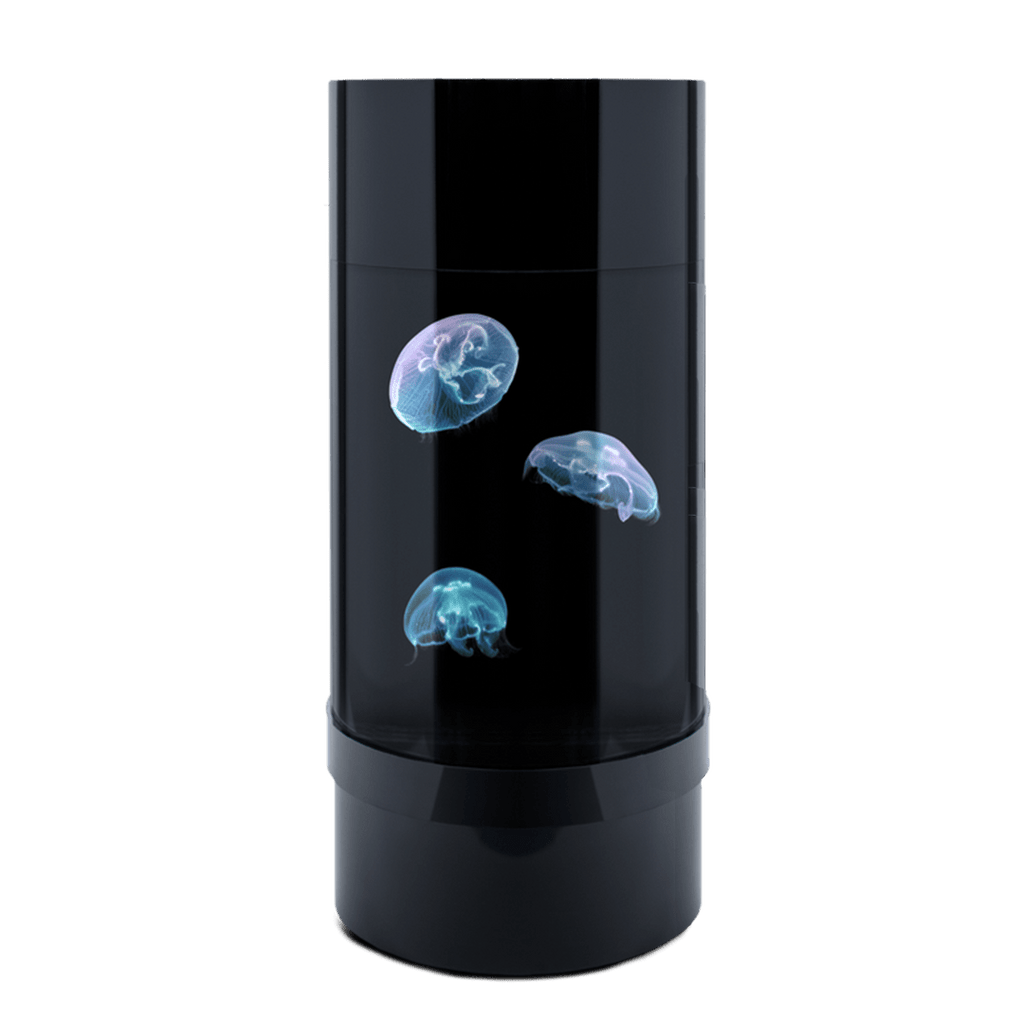 Jelly Cylinder 5 (Black) - 5 Gallon Saltwater Tank (Aquarium only)