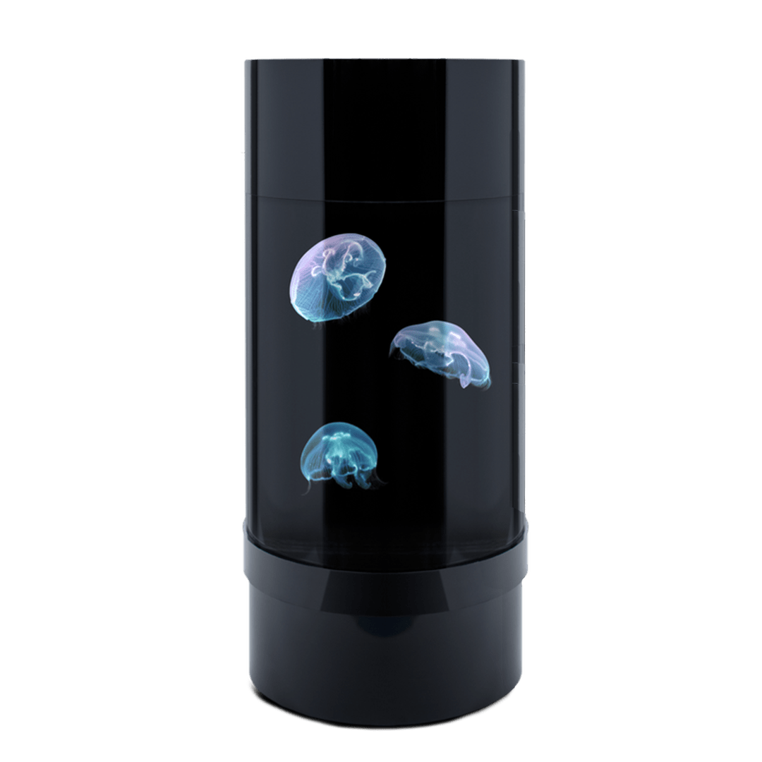 Jelly Cylinder 5 (Black) - 5 Gallon Saltwater Tank (Aquarium only)