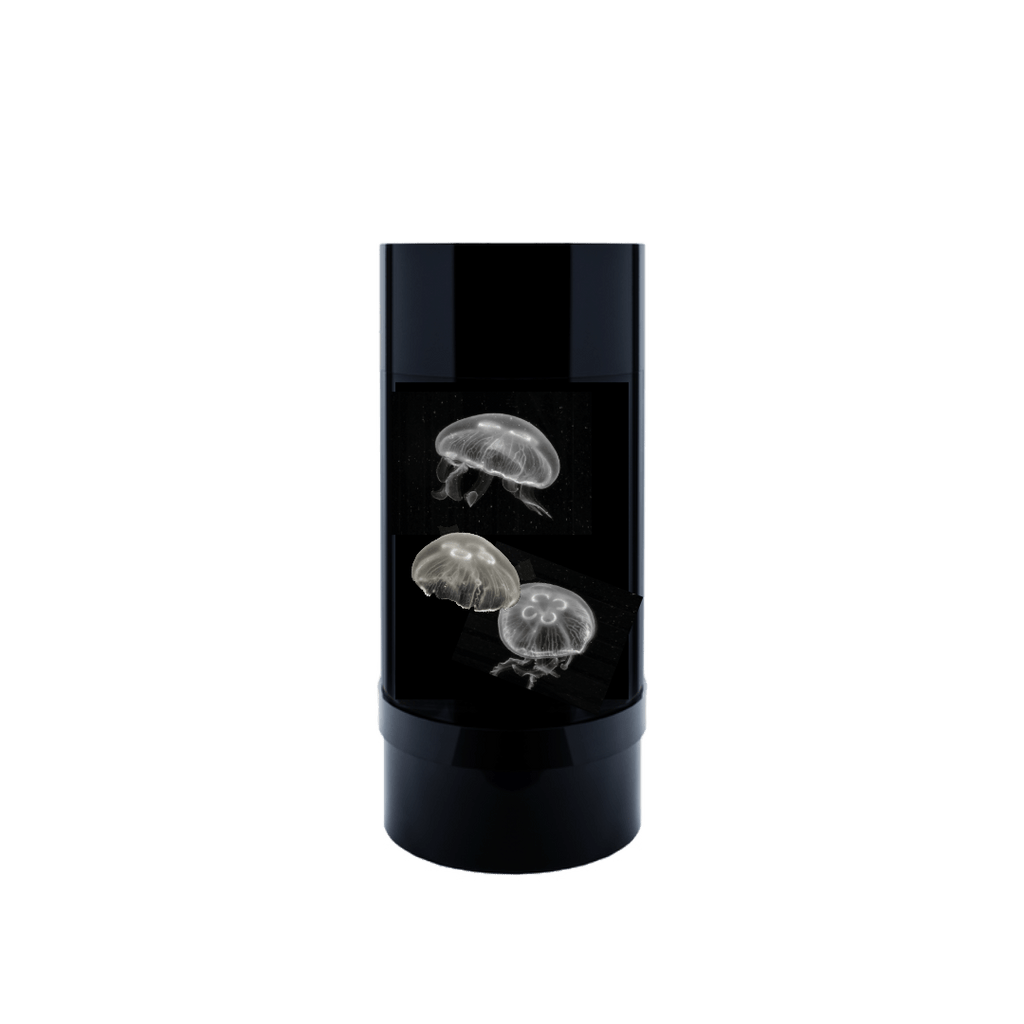 Jelly Cylinder 5 (Black) - 5 Gallon Saltwater Tank (Aquarium only)