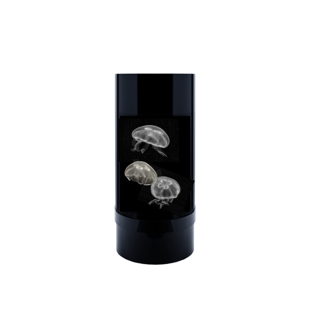 Jelly Cylinder 5 (Black) - 5 Gallon Saltwater Tank (Aquarium only)