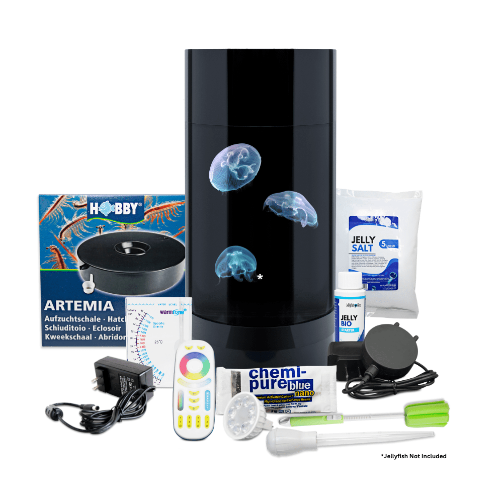 Jelly Cylinder 5 (Black) - 5 Gallon Saltwater Tank (Aquarium only)