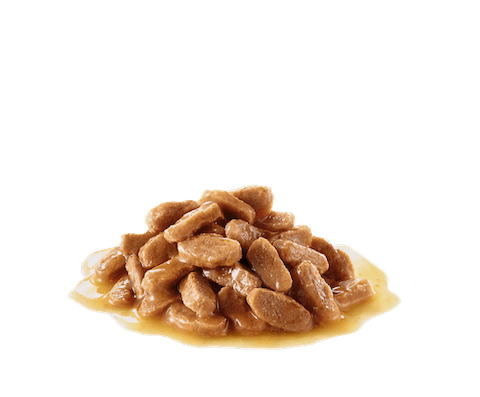 ROYAL CANIN PUPPY MAXI GRAVY 140G