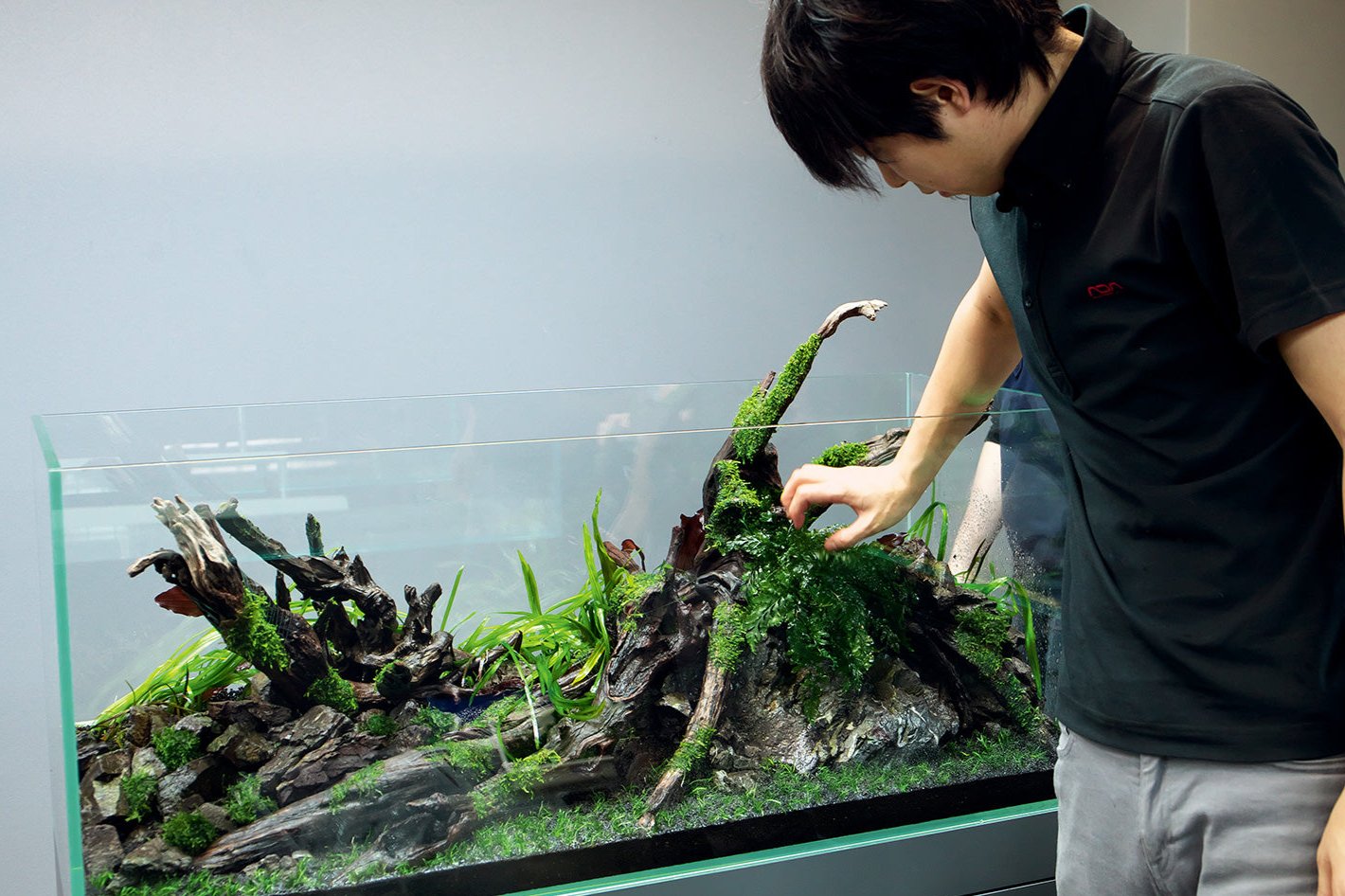 Aquascaping Service