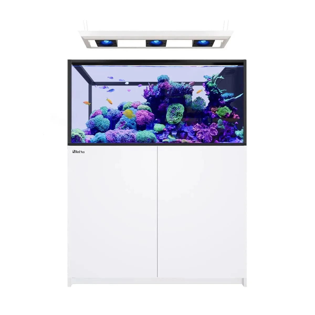 REEFER Deluxe Peninsula 500 G3 (137.1 Gal) (incl. 2 x ReefLED 170) - Red Sea