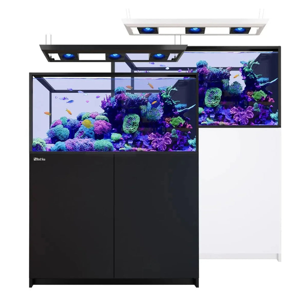 REEFER Deluxe Peninsula 500 G3 (137.1 Gal) (incl. 2 x ReefLED 170) - Red Sea