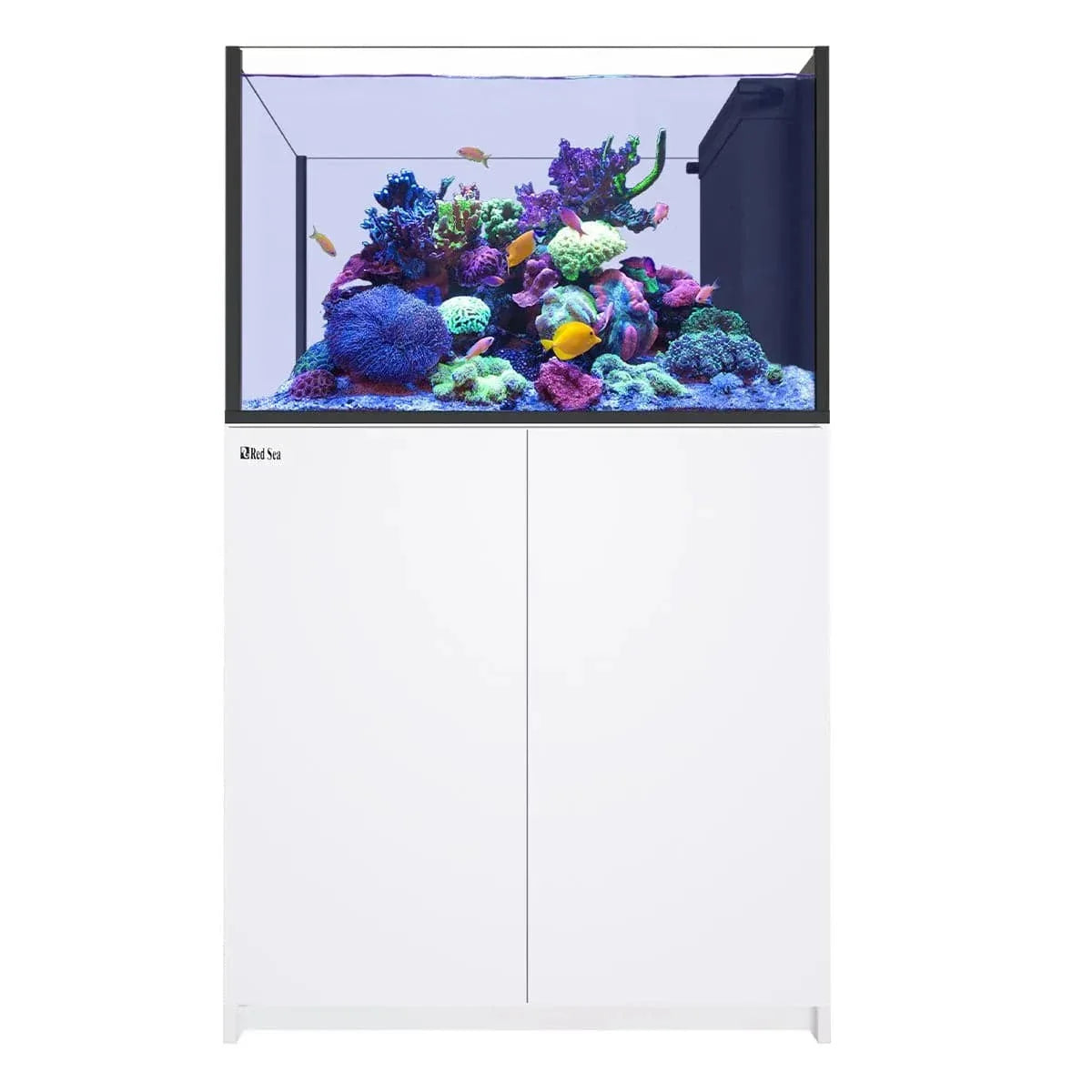 REEFER Peninsula 350 G3 (93 Gal) - Red Sea