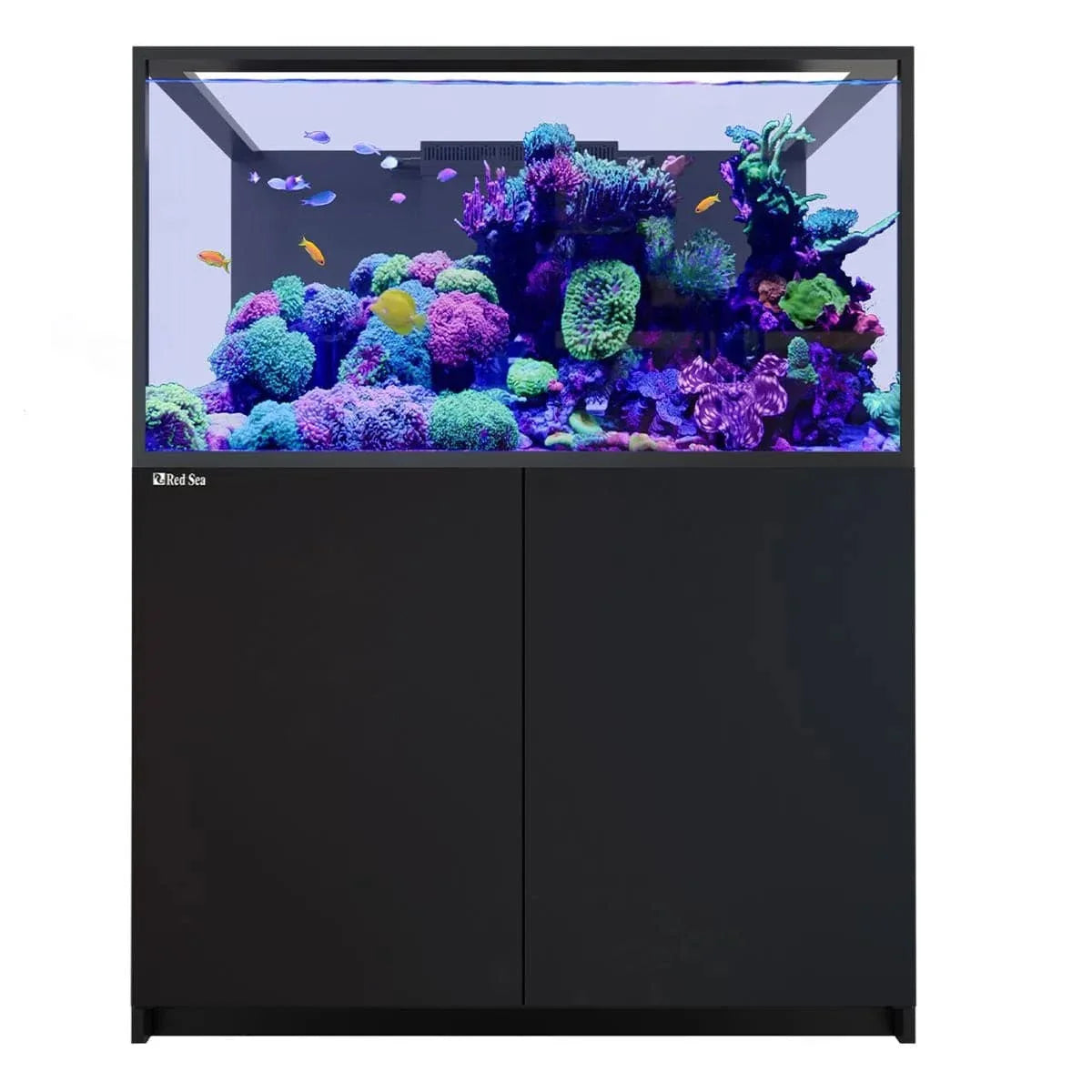REEFER S-550 G3 (145.1 Gal) - Red Sea