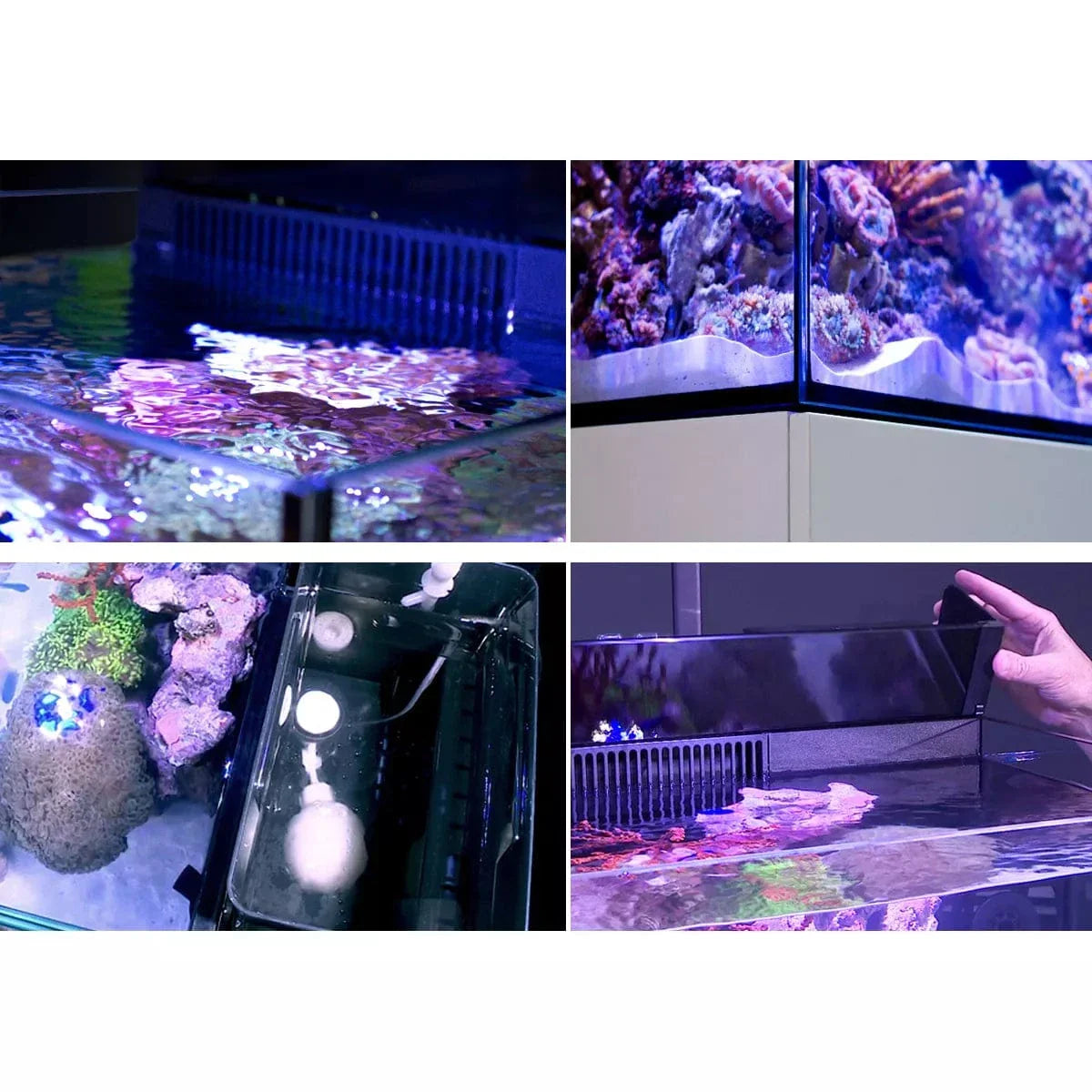MAX NANO G2 Complete Reef System (20 Gal) - Red Sea