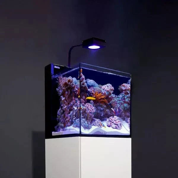 MAX NANO G2 Complete Reef System (20 Gal) - Red Sea
