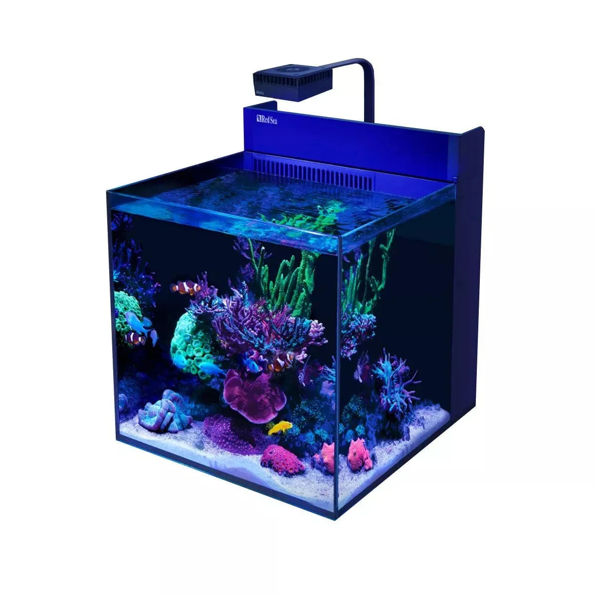 MAX NANO G2 XL Complete Reef System (33 Gal) - Red Sea