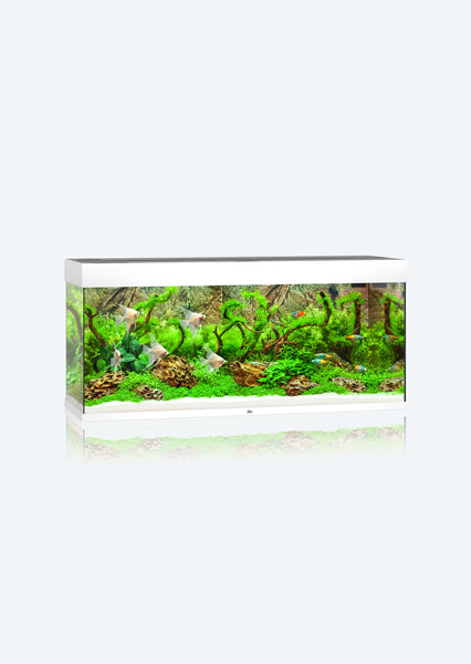 JUWEL AQUARIUM RIO 240 LED,121 CM
