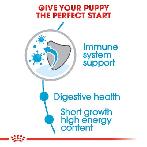 ROYAL CANIN PUPPY MEDIUM