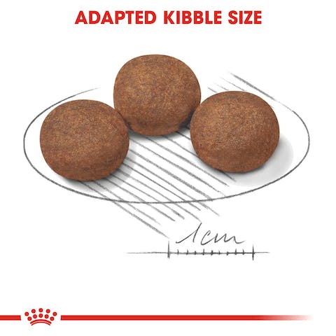 ROYAL CANIN PUPPY MEDIUM