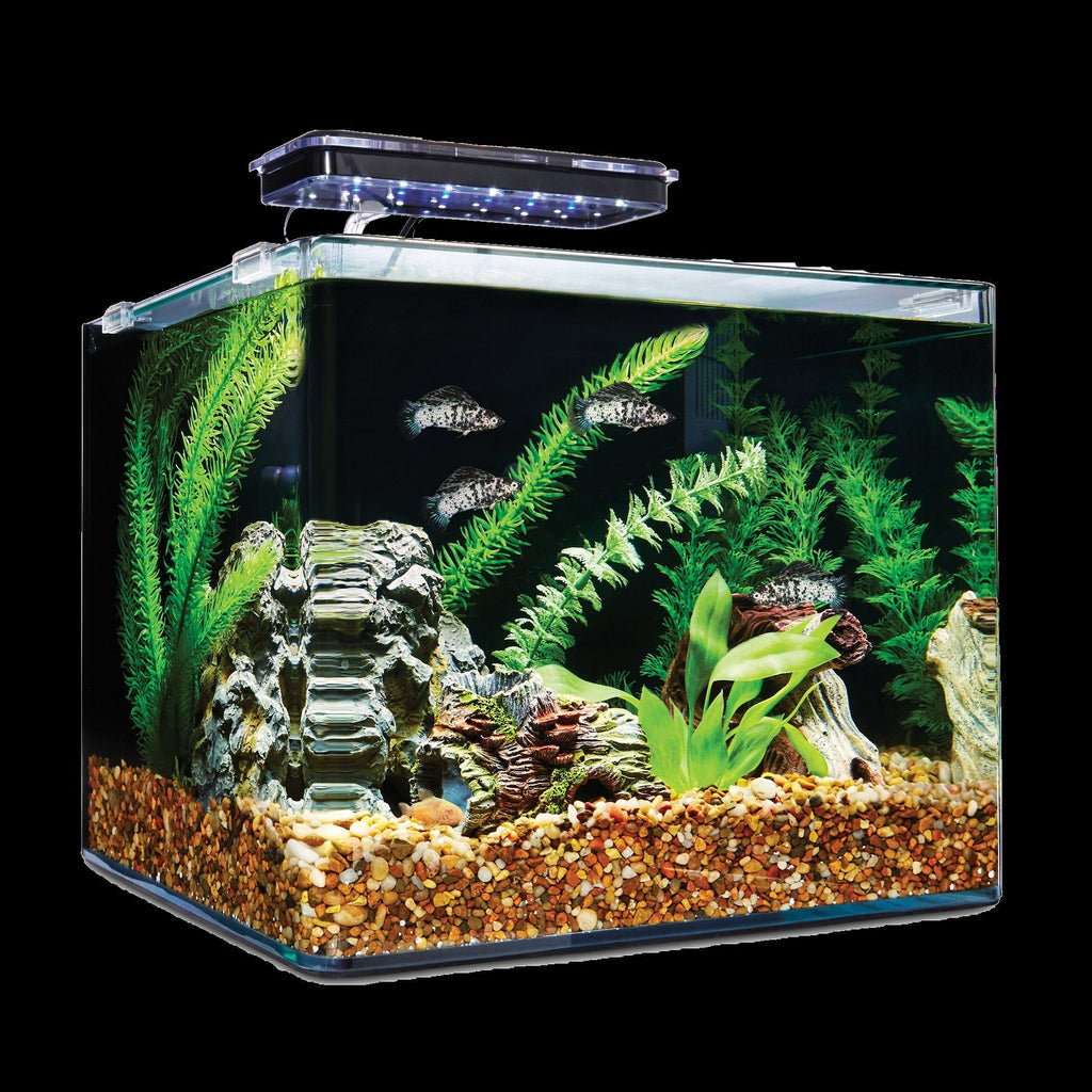 PF GLASS TANK 30cm to 18cm